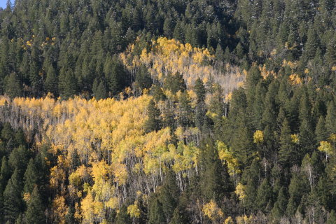 IMG_0002