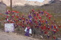 IMG_4657
