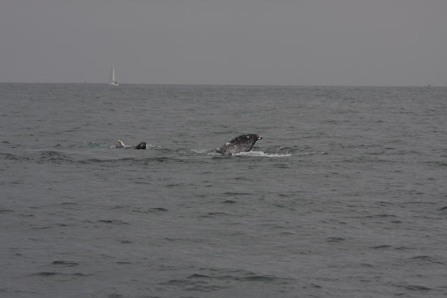IMG_6077