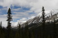 IMG_4354