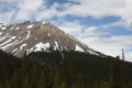 IMG_4355