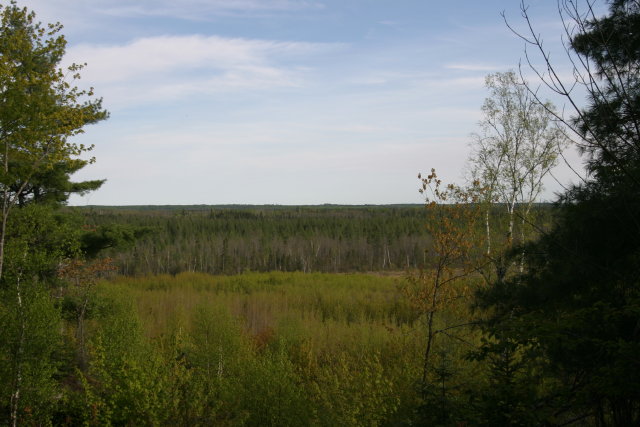 IMG_1145