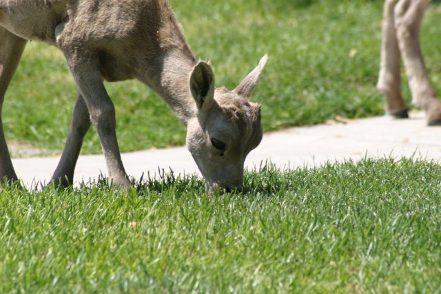 IMG_2342