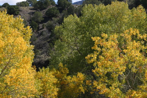 IMG_0054